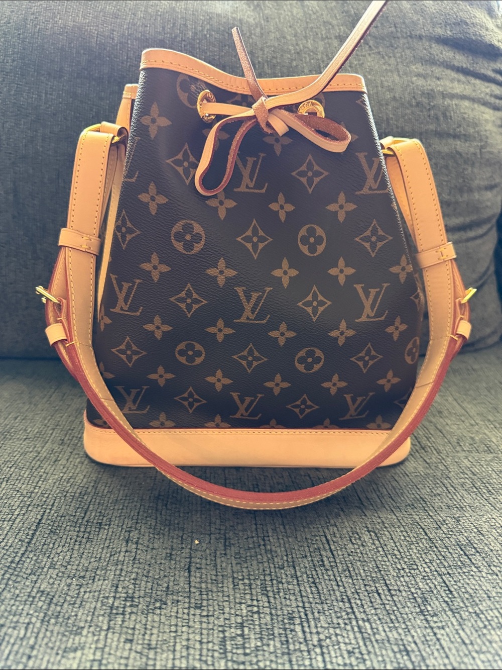 Louis Vuitton Monogram Petit Noe